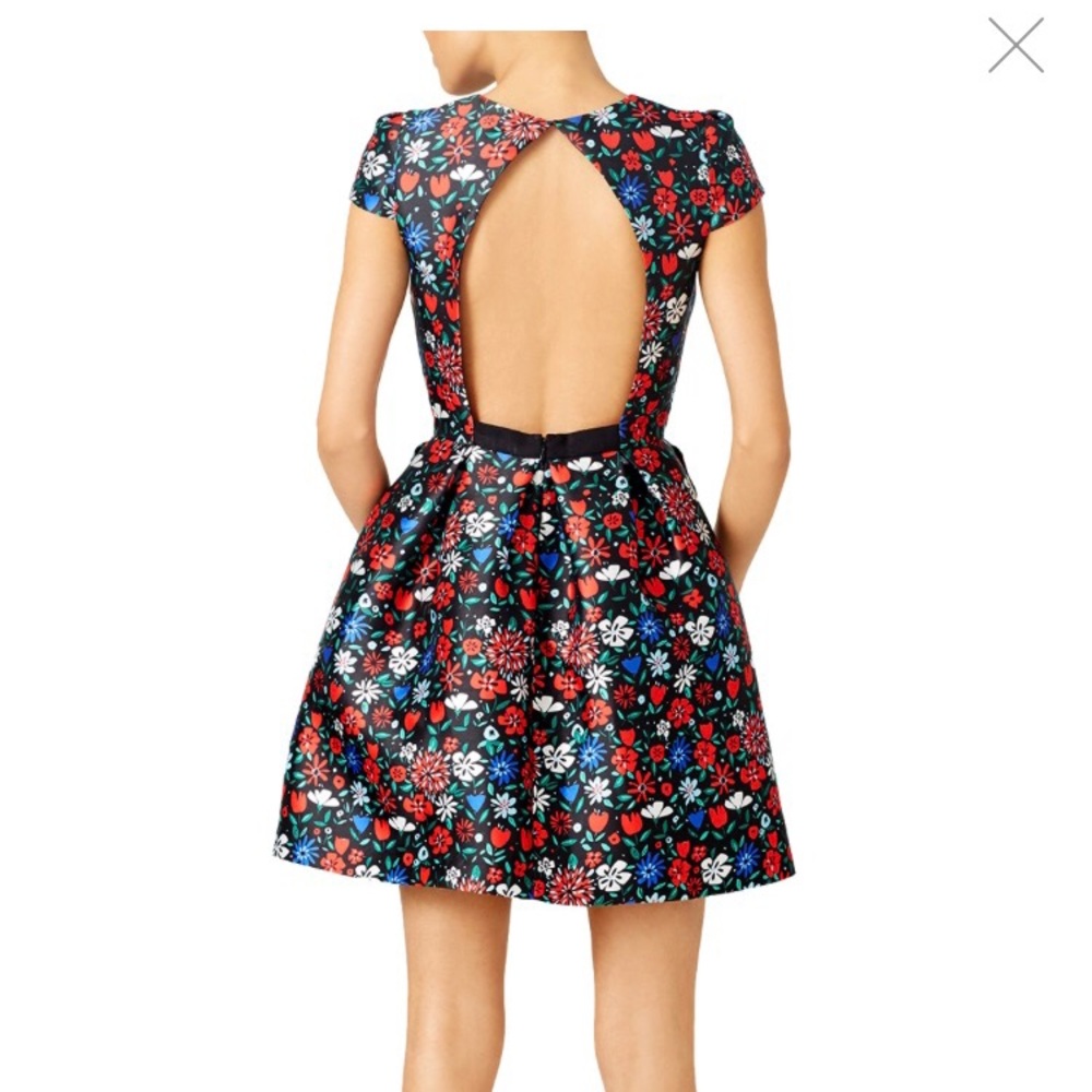 Shoshanna Floral Paris Dress